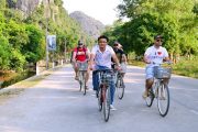 hoa lu tam coc high quality