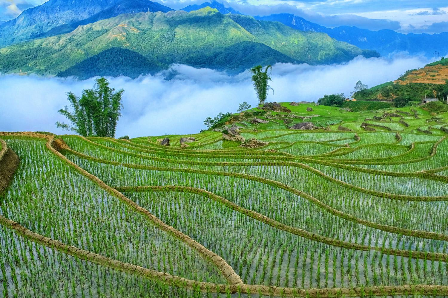 Best time to visit Sapa, Sapa in Spring