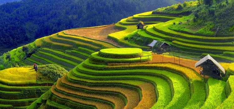 Best time to visit Sapa, Sapa in october