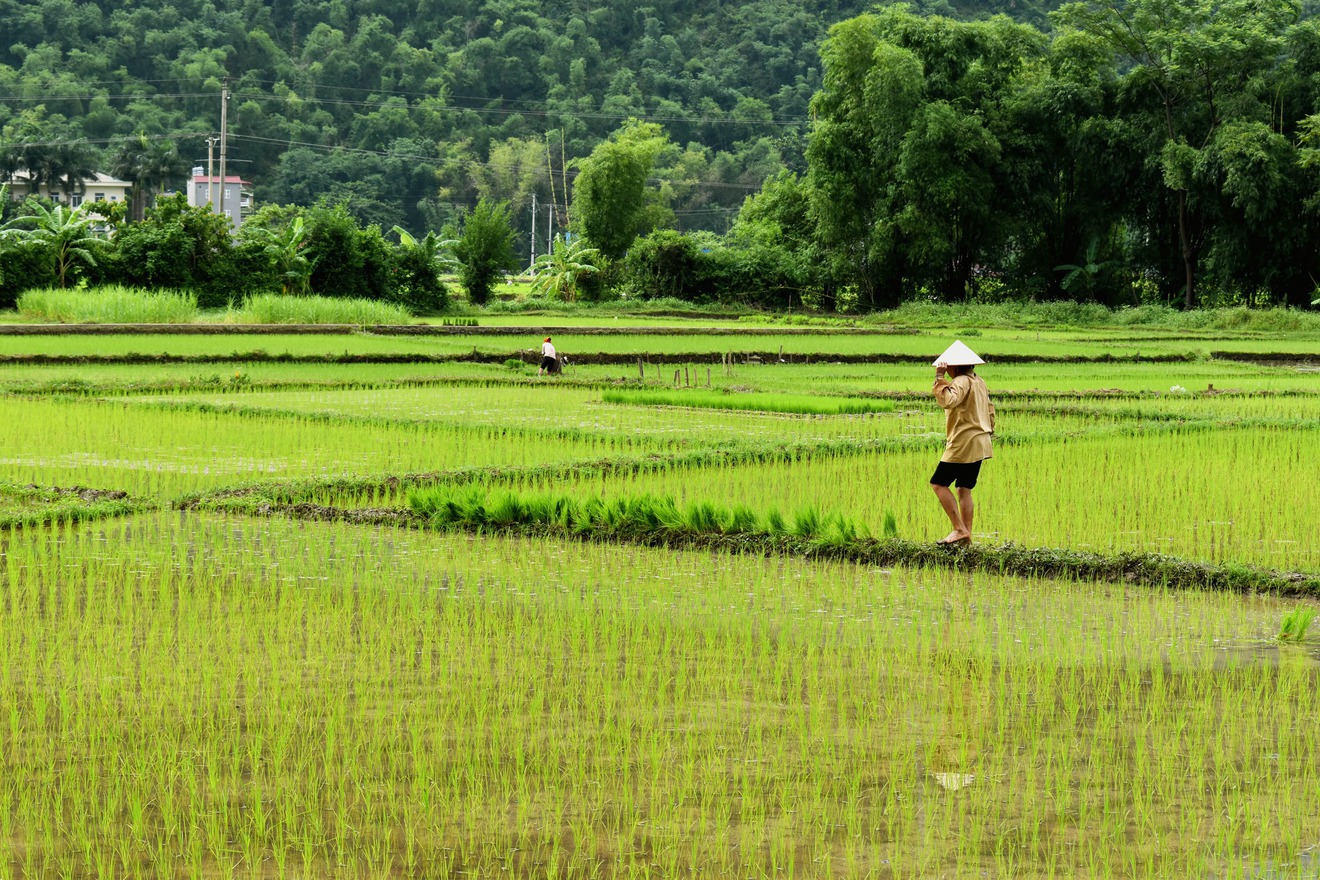 Best time to visit Mai Chau in July