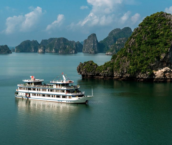 Swan Cruise Halong