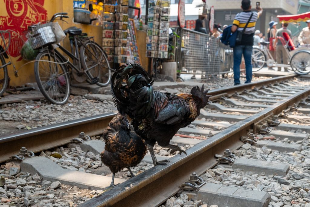 Story of Hanoi Train Street Patrick Jacobs 1